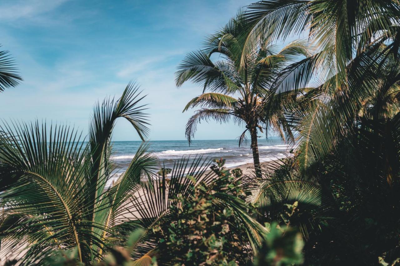 Los Hermanos Beach Hostal Guachaca Dış mekan fotoğraf