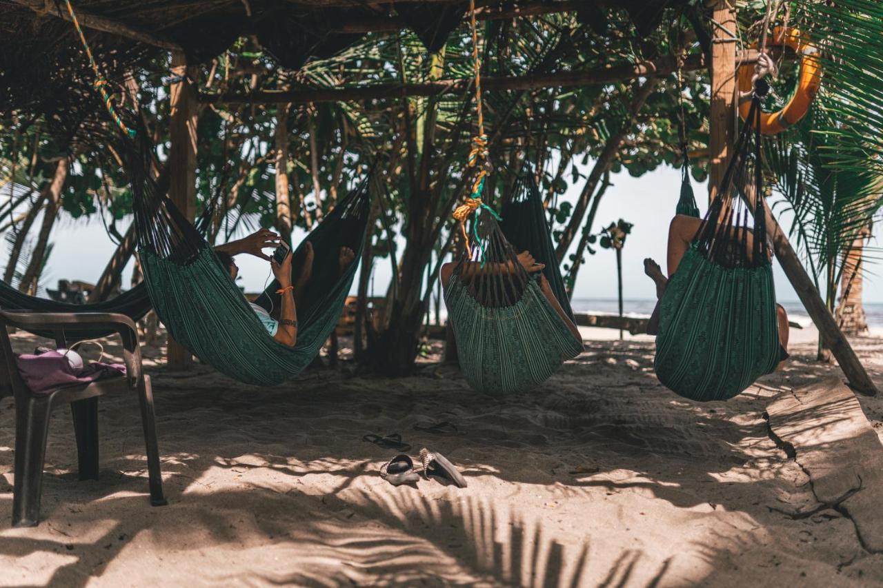 Los Hermanos Beach Hostal Guachaca Dış mekan fotoğraf