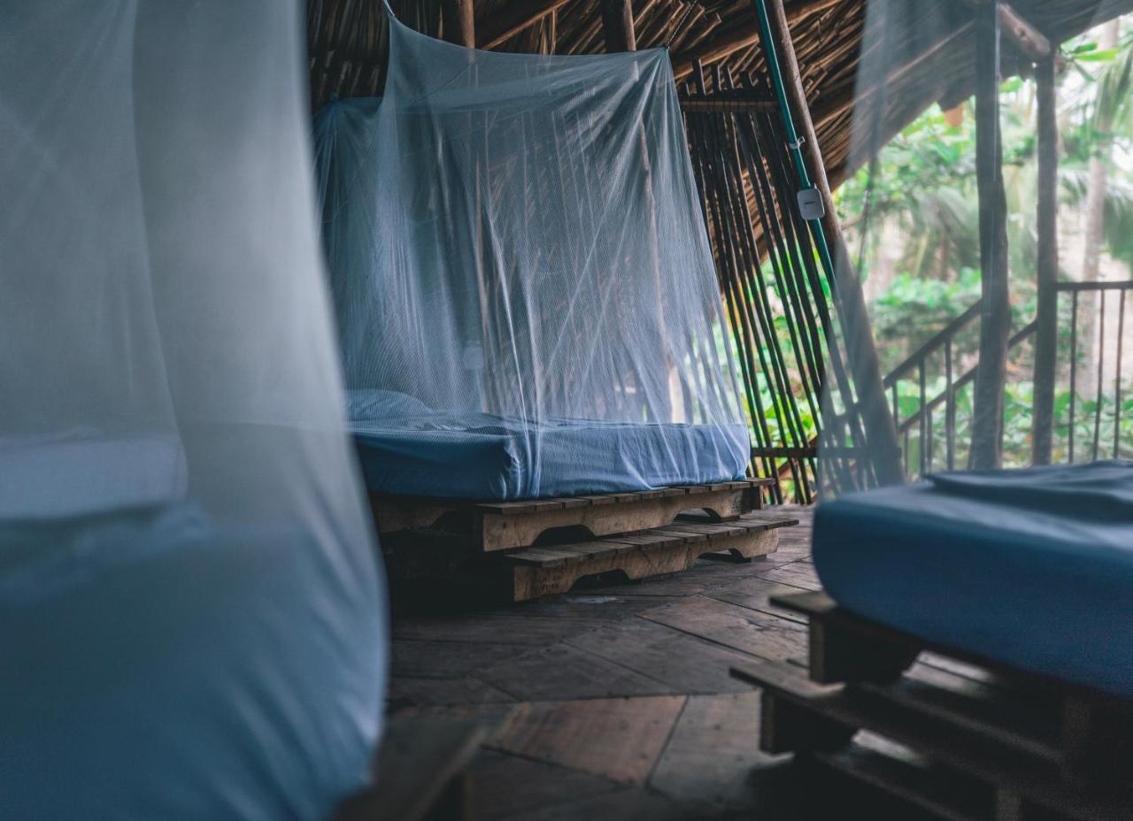 Los Hermanos Beach Hostal Guachaca Dış mekan fotoğraf
