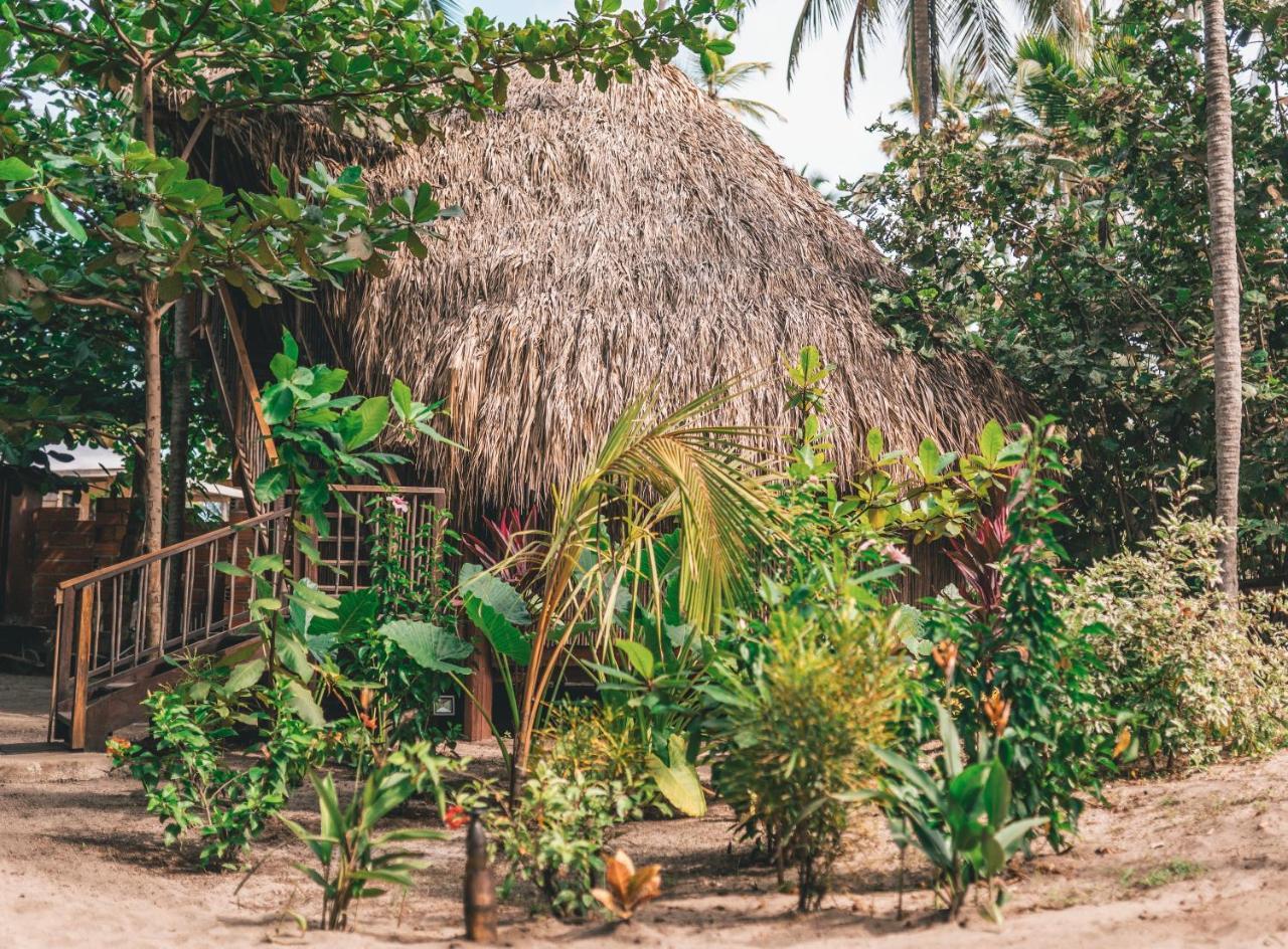 Los Hermanos Beach Hostal Guachaca Dış mekan fotoğraf
