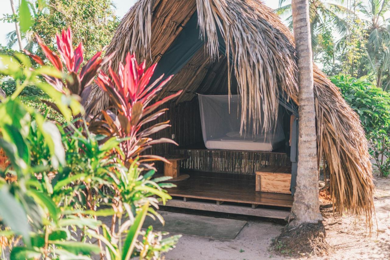 Los Hermanos Beach Hostal Guachaca Dış mekan fotoğraf